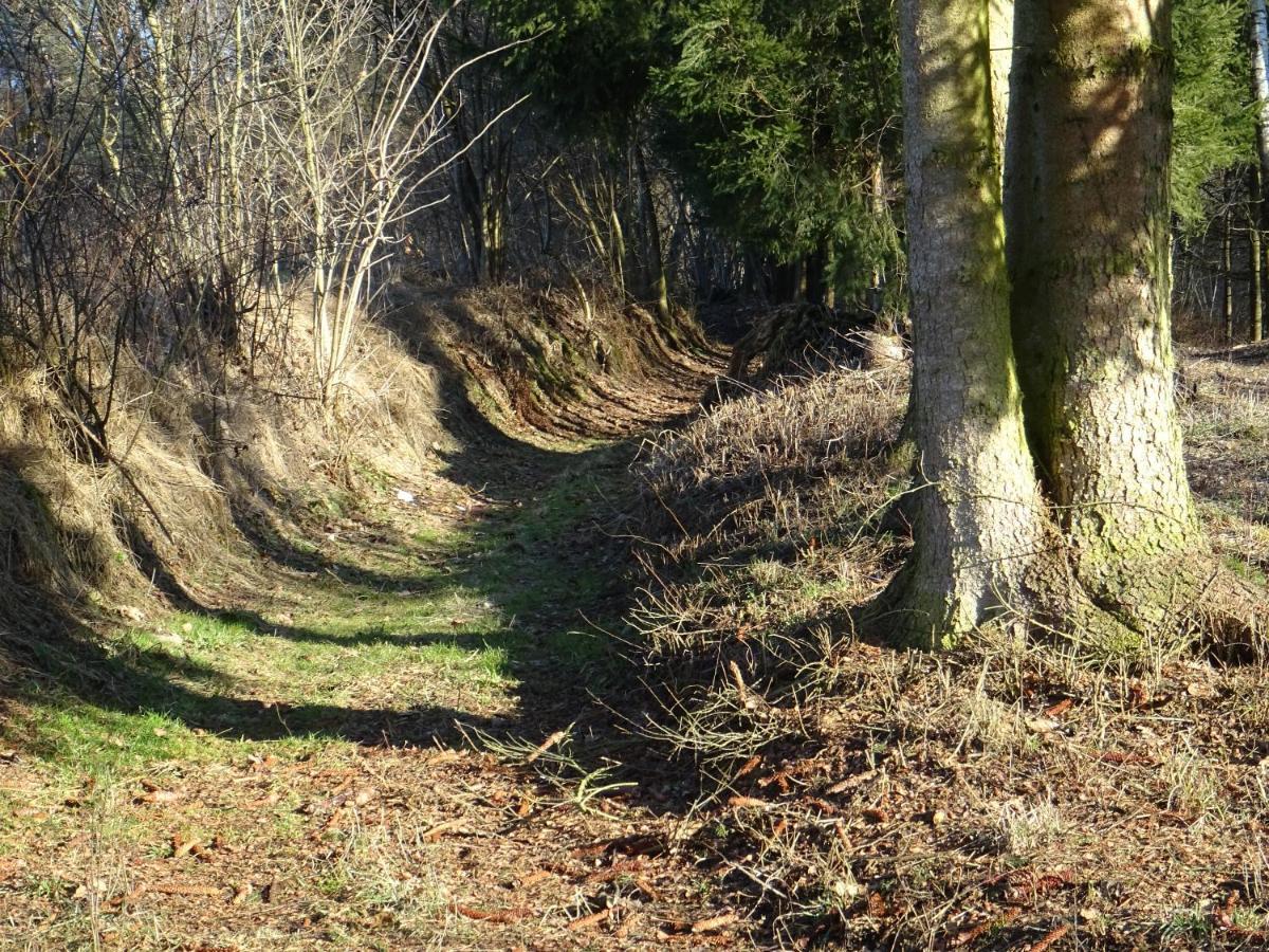 Cu-Ferienwohnungen - Nur Fuer Urlaubsgaeste Grafenwiesen Exteriér fotografie